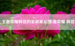 王者荣耀韩信的圣诞星元(王者荣耀 韩信)