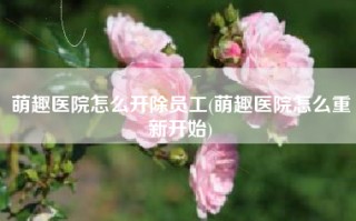 萌趣医院怎么开除员工(萌趣医院怎么重新开始)