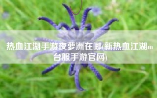热血江湖手游夜萝洲在哪(新热血江湖m台服手游官网)