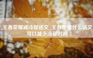 王者荣耀减冷却铭文_王者荣耀什么铭文可以减少冷却时间