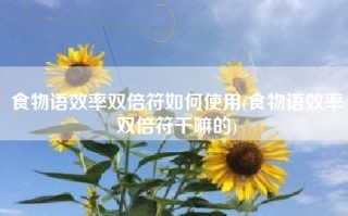 食物语效率双倍符如何使用(食物语效率双倍符干嘛的)