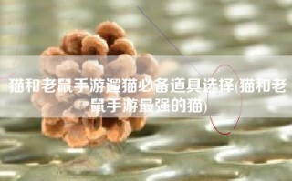 猫和老鼠手游遛猫必备道具选择(猫和老鼠手游最强的猫)