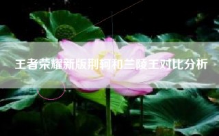 王者荣耀新版荆轲和兰陵王对比分析