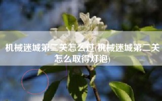 机械迷城第二关怎么过(机械迷城第二关怎么取得灯泡)