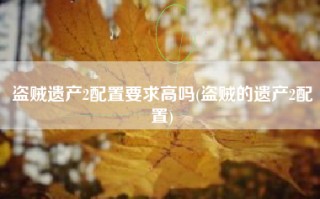 盗贼遗产2配置要求高吗(盗贼的遗产2配置)