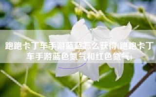 跑跑卡丁车手游蓝蓝怎么获得(跑跑卡丁车手游蓝色氮气和红色氮气)