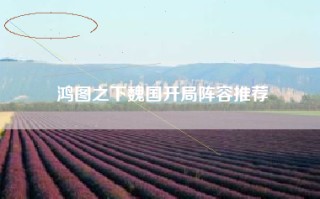 鸿图之下魏国开局阵容推荐
