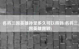 名将三国英雄孙坚多久可以得到(名将三国英雄露颖)