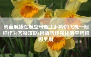 碧蓝航线在航空母舰上起降的飞机一般称作为答案攻略(碧蓝航线强化航空狗粮哪里刷)