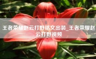 王者荣耀赵云打野铭文出装_王者荣耀赵云打野视频