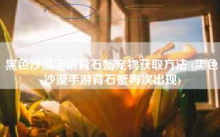 黑色沙漠手游背石蟹宠物获取方法 (黑色沙漠手游背石蟹再次出现)