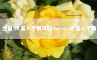 迷室3机器人手臂攻略(kawasaki机器人手臂)