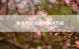各类网络延迟的解决方法