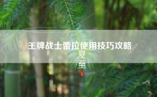 王牌战士蕾拉使用技巧攻略