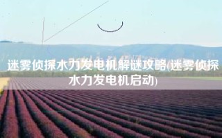 迷雾侦探水力发电机解谜攻略(迷雾侦探水力发电机启动)