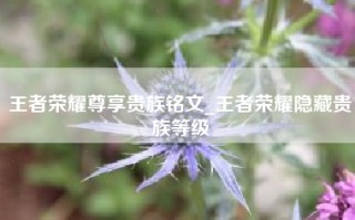 王者荣耀尊享贵族铭文_王者荣耀隐藏贵族等级