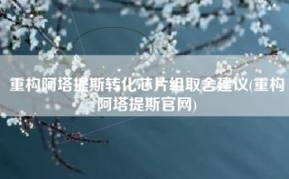 重构阿塔提斯转化芯片组取舍建议(重构阿塔提斯官网)