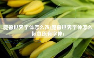 魔兽世界字体怎么改(魔兽世界字体怎么恢复原有字体)
