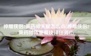 神雕侠侣2黄药师天赋怎么点(神雕侠侣2黄药师传重要抉择任务12)