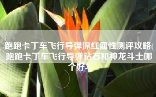 跑跑卡丁车飞行导弹深红属性测评攻略(跑跑卡丁车飞行导弹钻石和神龙斗士哪个好-)