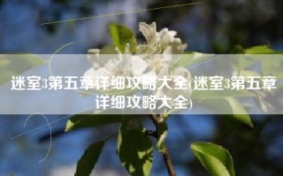 迷室3第五章详细攻略大全(迷室3第五章详细攻略大全)