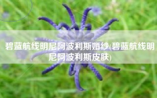 碧蓝航线明尼阿波利斯婚纱(碧蓝航线明尼阿波利斯皮肤)
