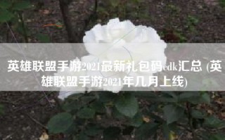 英雄联盟手游2021最新礼包码cdk汇总 (英雄联盟手游2021年几月上线)