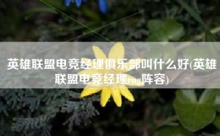 英雄联盟电竞经理俱乐部叫什么好(英雄联盟电竞经理rng阵容)