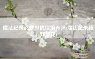魔法纪录忍野忍值得培养吗(魔法纪录绫野梨花)
