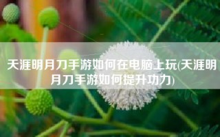 天涯明月刀手游如何在电脑上玩(天涯明月刀手游如何提升功力)