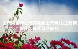 王者荣耀什么阵容克制上官婉儿(王者荣耀什么阵容可以重开)