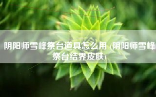 阴阳师雪峰祭台道具怎么用 (阴阳师雪峰祭台结界皮肤)