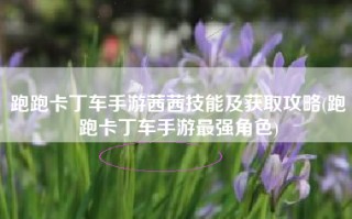 跑跑卡丁车手游茜茜技能及获取攻略(跑跑卡丁车手游最强角色)