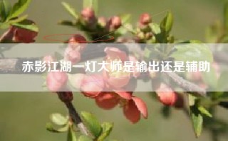 赤影江湖一灯大师是输出还是辅助