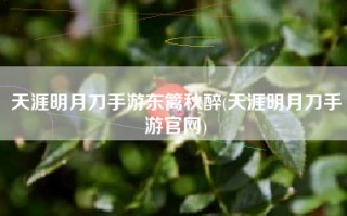 天涯明月刀手游东篱秋醉(天涯明月刀手游官网)