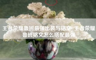 王者荣耀鲁班最强出装与铭文_王者荣耀鲁班铭文怎么搭配最强