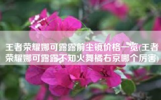 王者荣耀娜可露露前尘镜价格一览(王者荣耀娜可露露不知火舞橘右京哪个厉害)