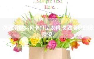 灵魂潮汐5-6贝卡打法攻略(灵魂潮汐幻境遗迹)