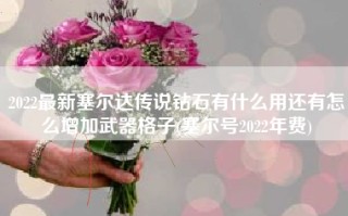 2022最新塞尔达传说钻石有什么用还有怎么增加武器格子(塞尔号2022年费)