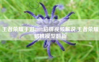 王者荣耀手游2018貂蝉视频解说,王者荣耀貂蝉模型翻新