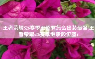 王者荣耀S26赛季王昭君怎么出装最强(王者荣耀s26赛季继承段位图)