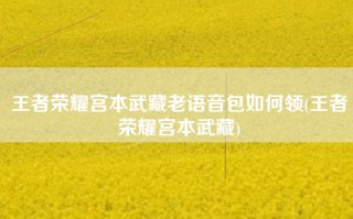 王者荣耀宫本武藏老语音包如何领(王者荣耀宫本武藏)