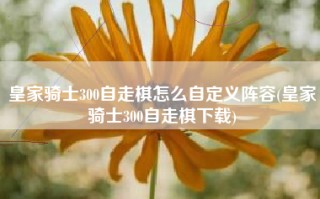 皇家骑士300自走棋怎么自定义阵容(皇家骑士300自走棋下载)