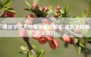 魂器学院人物基本属性解析(魂器学院哪个人物好)