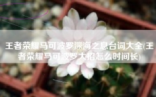 王者荣耀马可波罗深海之息台词大全(王者荣耀马可波罗大招怎么时间长)