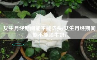 女生月经期间能不能洗头(女生月经期间能不能喝牛奶)