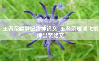 王者荣耀静妃雷神铭文_王者荣耀澜飞雷神出装铭文