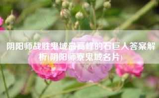 阴阳师战胜鬼域最高峰的石巨人答案解析(阴阳师寮鬼域名片)