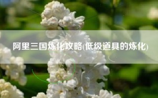 阿里三国炼化攻略(低级道具的炼化)