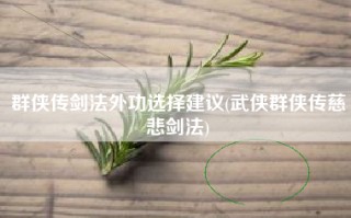 群侠传剑法外功选择建议(武侠群侠传慈悲剑法)